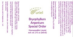 Bryophyllum Argentum Special Order