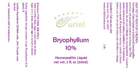 Bryophyllum10Liquid
