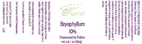 Bryophyllum10Pellets