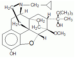 Bup structure