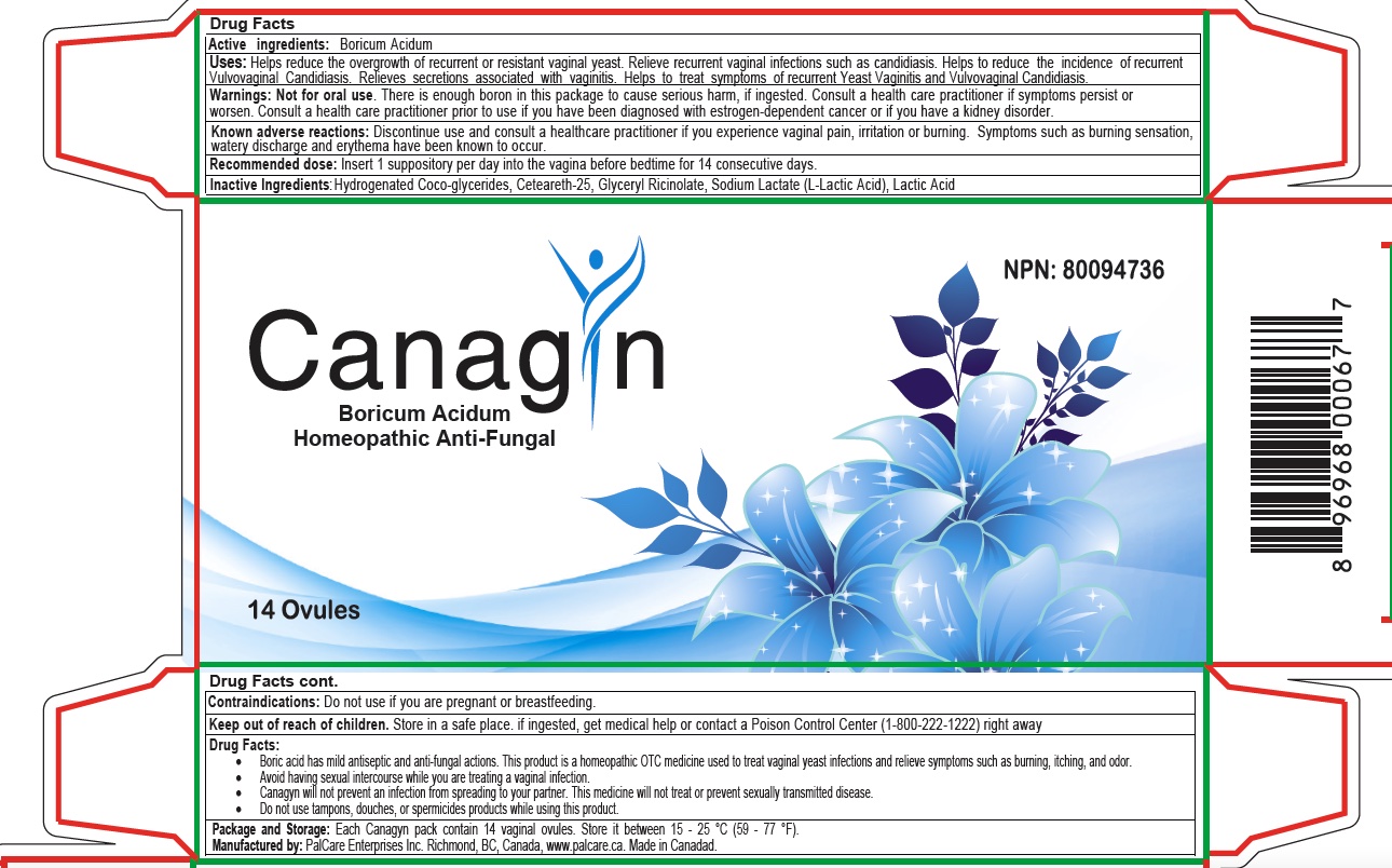 Canagyn Antifungal