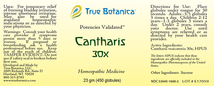 Cantharis 30X