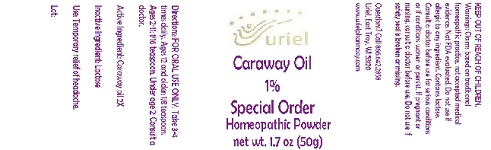 Caraway Oil 1 s.o. Powder
