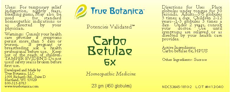 Carbo Betulae 6X
