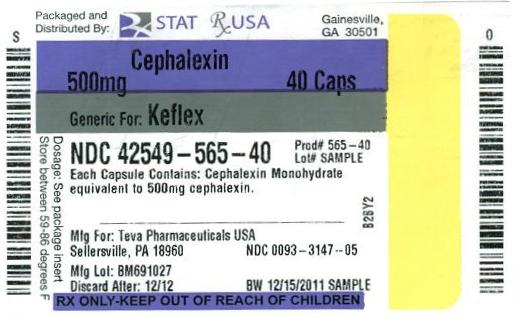 Cephalexin Capsules USP 500 mg 100s Label