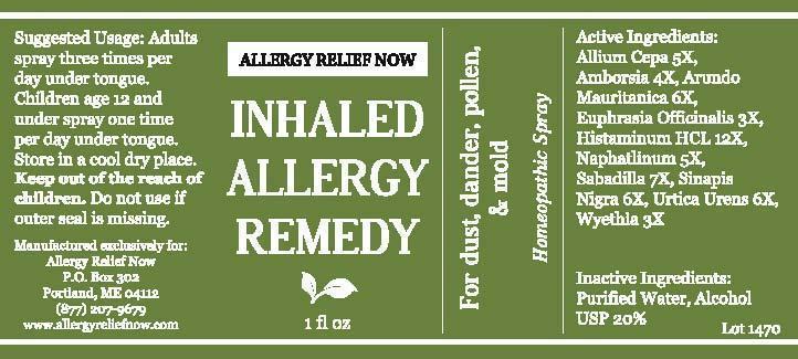 Allergy Now Inhaled Allergy Remedy