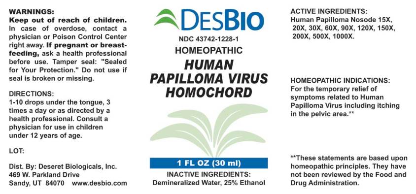 Human Papilloma Virus Homochord