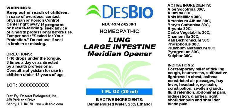 Lung Large Intestine Meridian Opener
