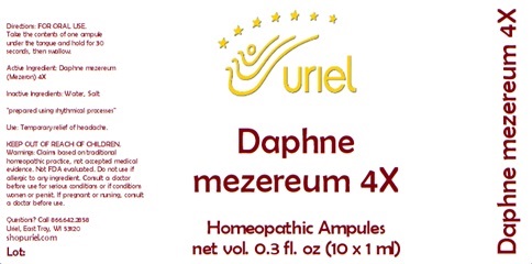 Daphne mezereum 4X Ampules