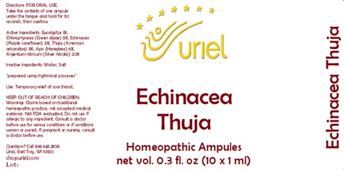 Echinacea Thuja Ampules