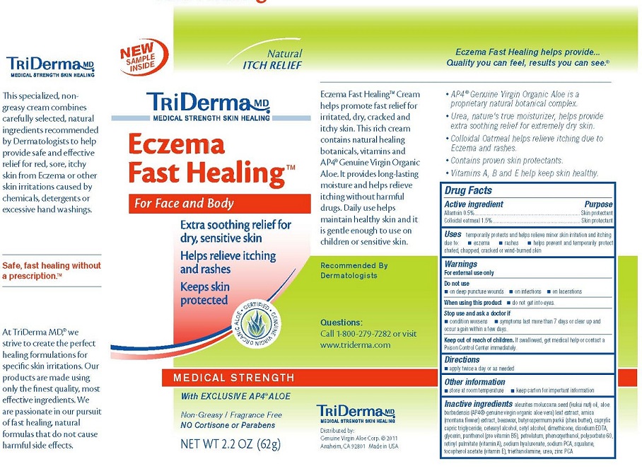 Eczema Fast Healing 2 2 oz carton