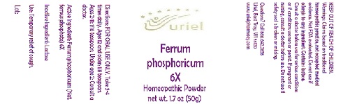 FerrumPhosphoricum6Powder