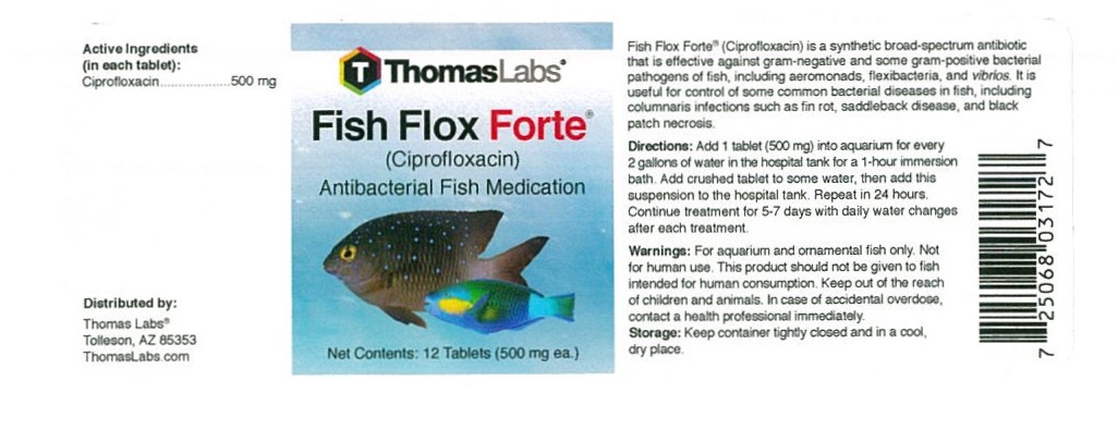 Fish Flox Forte 12 Tablets