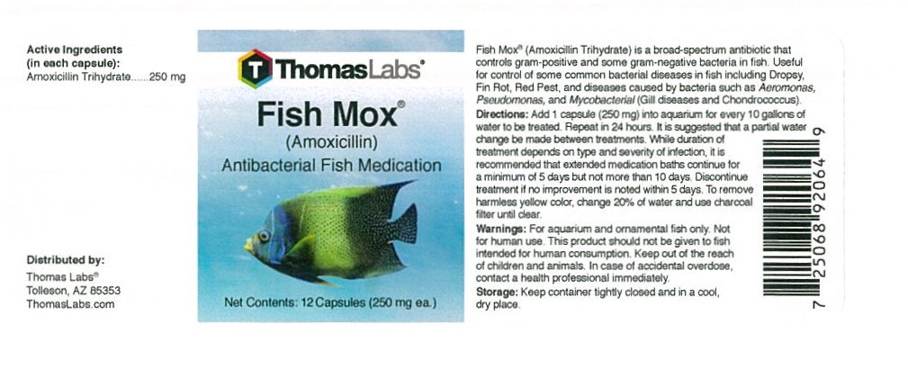 Fish Mox 100 Capsules