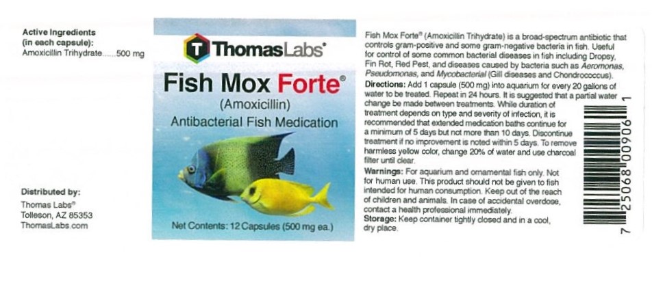 Fish Mox Forte 12 Capsules