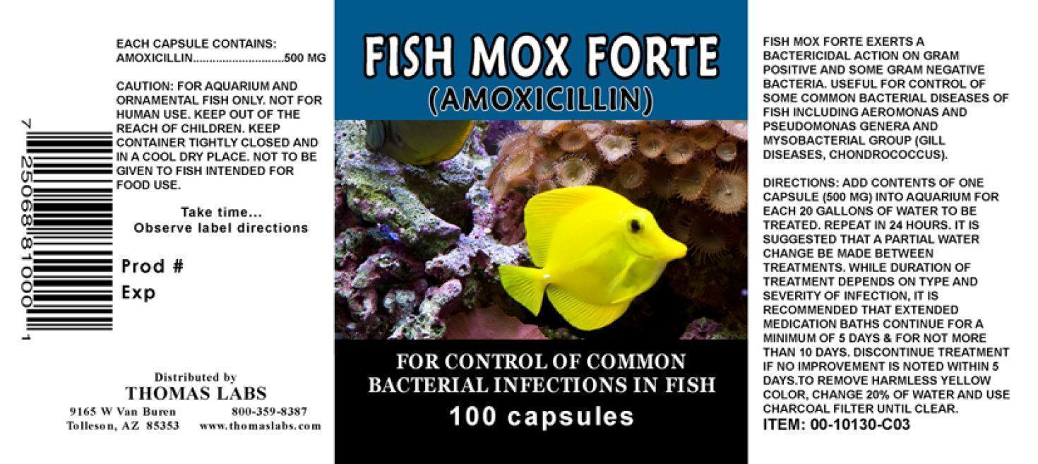 Fish Mox Forte 100 Capsules
