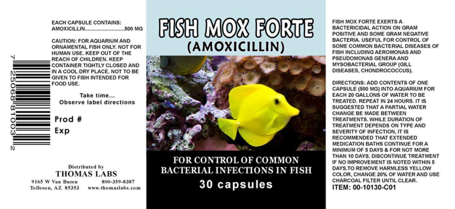 Fish Mox Forte 30 Capsules