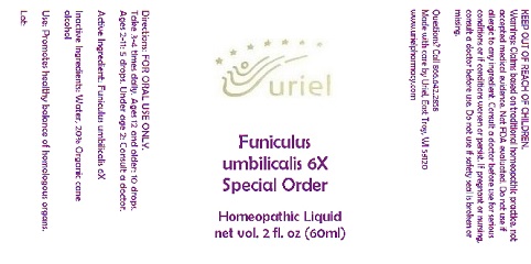 FuniculusUmbilicalis6SOLiquid