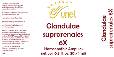 Glandulae suprarenales 6X Ampules