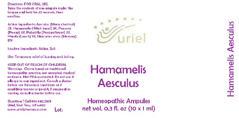 HamamelisAesculusAmpules