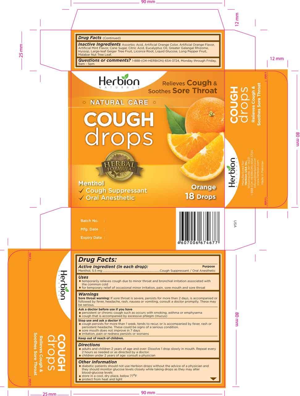 Herbion Orange Drops Carton