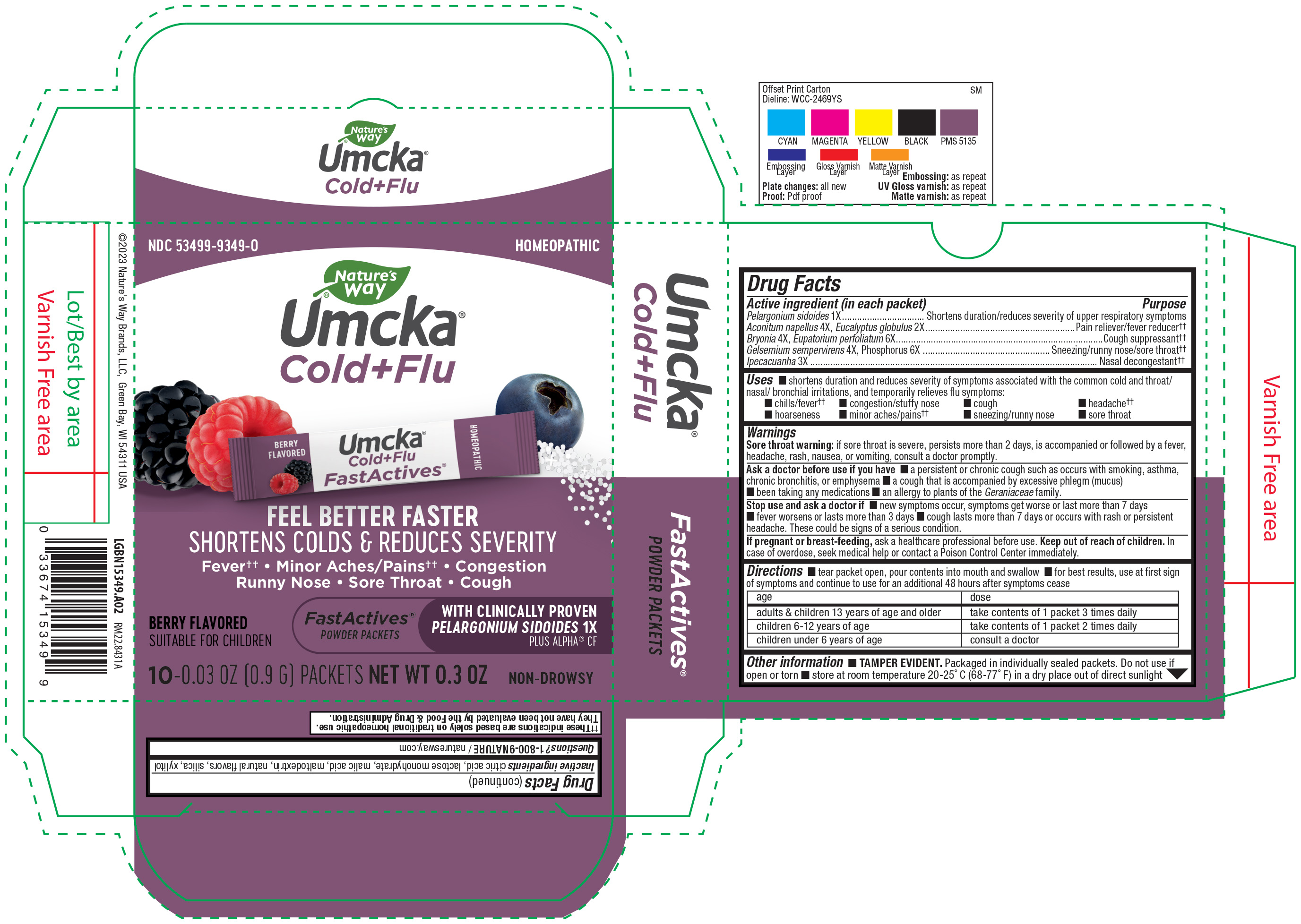 LGBN15349.A02 Umcka Cold & Flu Berry Fastactives 10 ct.jpg