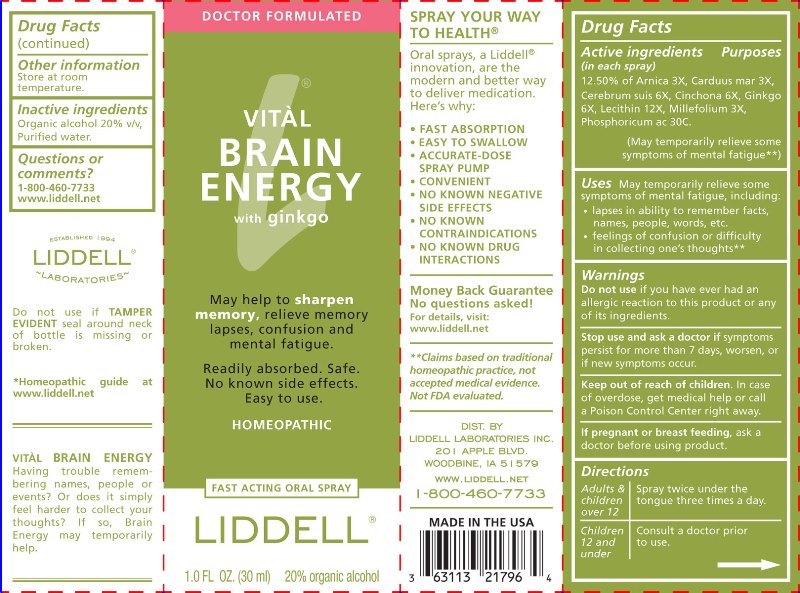 Vital Brain Energy ctn