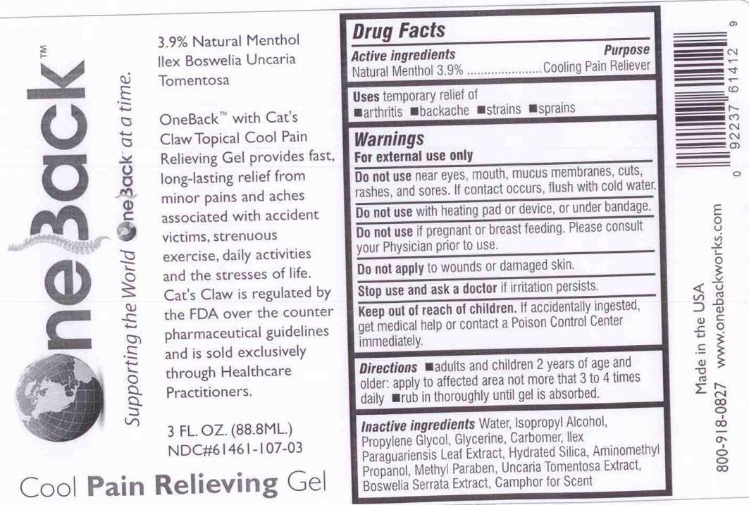 Label  Cool Pain Relieving Gel 3oz. (2.13.2015)