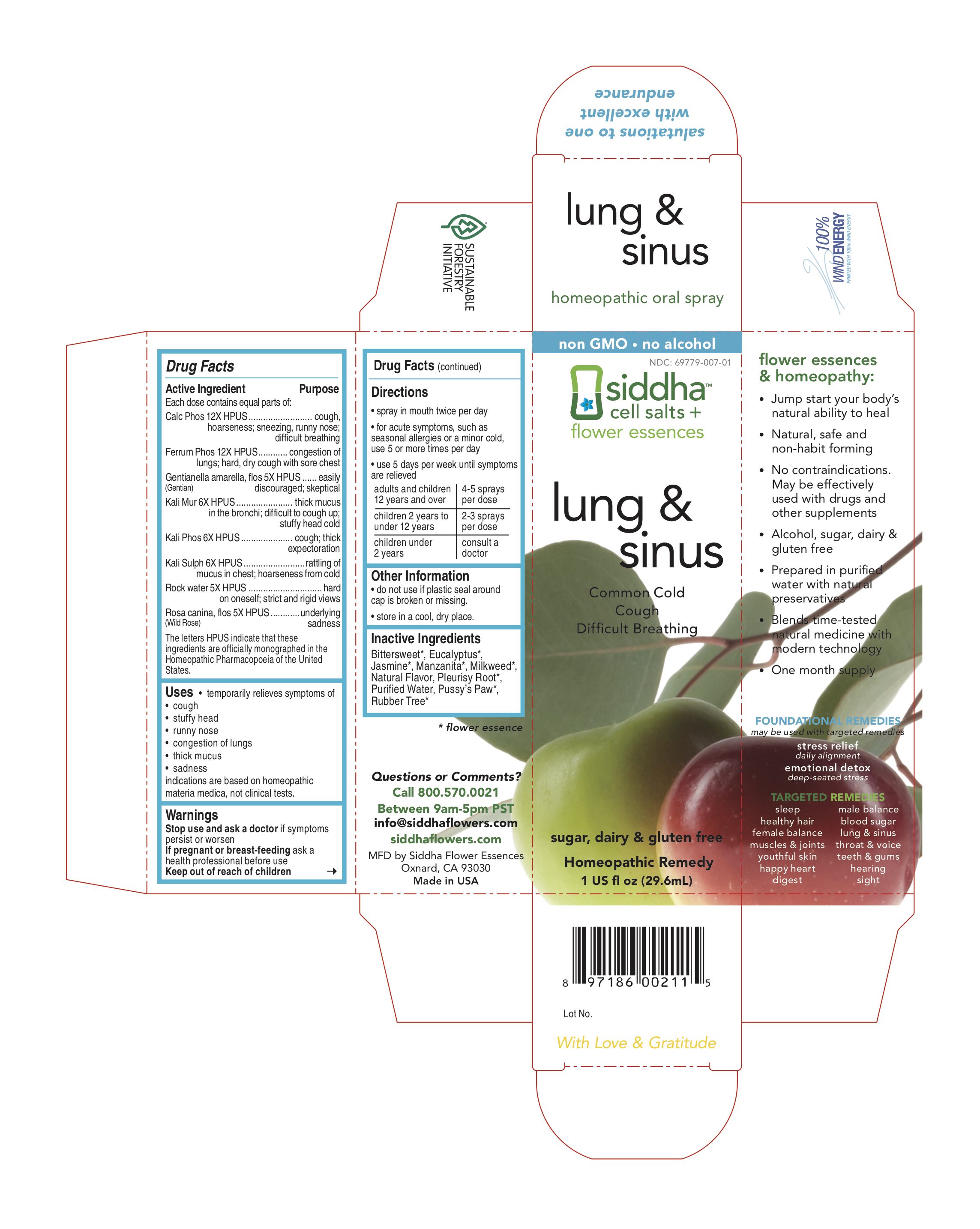Lung And Sinus Carton