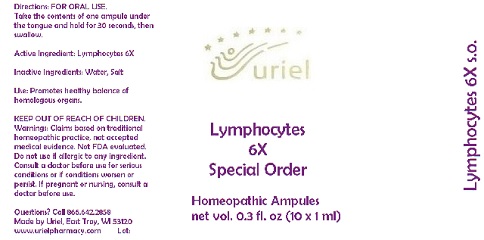 Lymphocytes6SpecialOrderAmpules