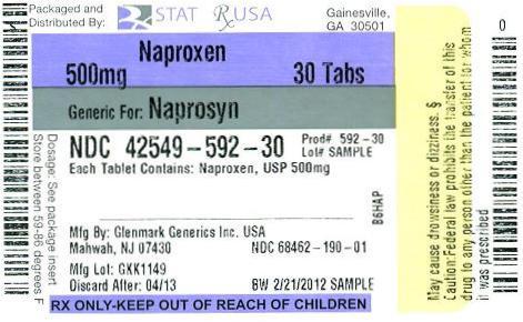 Naproxen 500mg Label Image