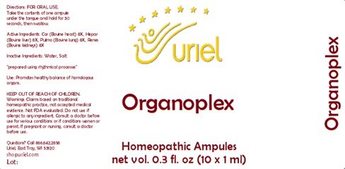 Organoplex Ampule