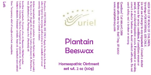 PlantainBeeswaxOintment