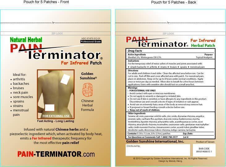 Pouch for PAIN Terminator Patches.jpg