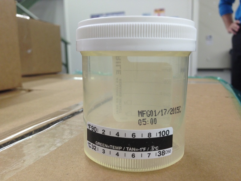 Urine Collection Cup with Temp strip