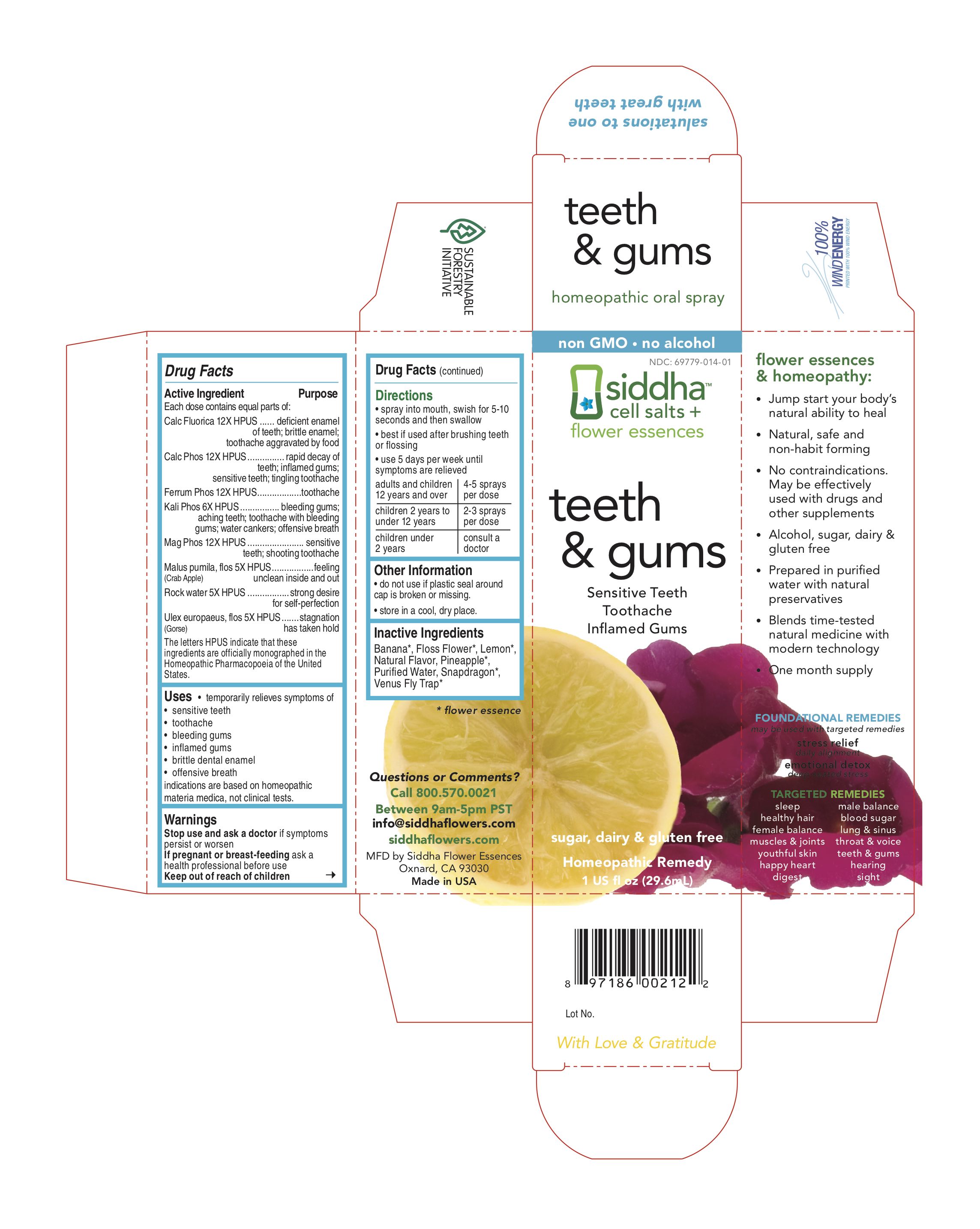 Teeth And Gums Carton