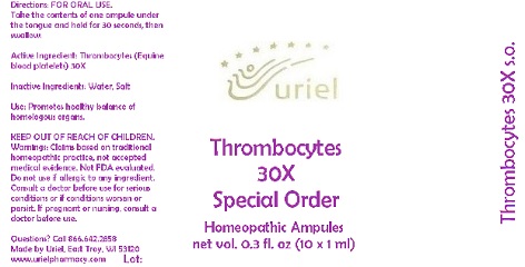 Thrombocytes30SpecialOrderAmpules