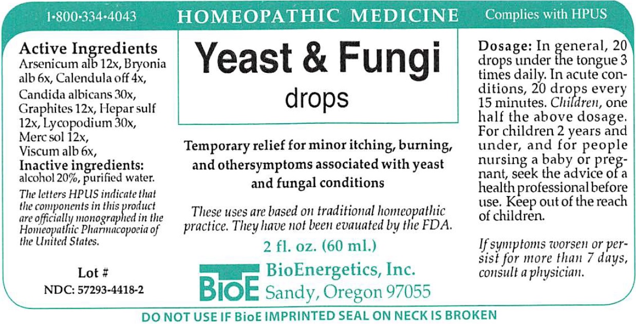 Yeast & Fungi