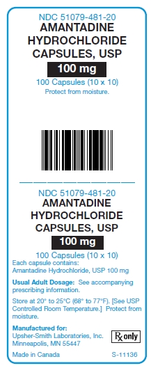 Amantadine HCl 100 mg Capsules