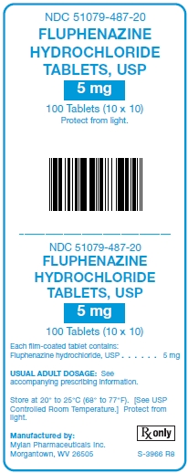 Fluphenazine Hydrochloride 5 mg Tablet Unit Carton Label