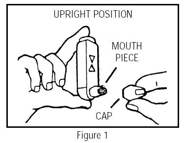Figure 1 Upright Position
