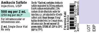 PACKAGE LABEL - PRINCIPAL DISPLAY - Amikacin 500 mg Single Dose Vial Label

