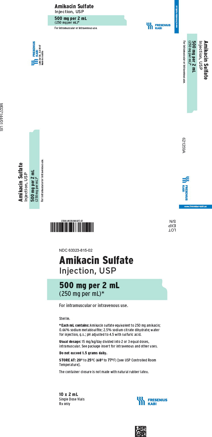 PACKAGE LABEL - PRINCIPAL DISPLAY - Amikacin 500 mg Single Dose Vial Carton Panel
