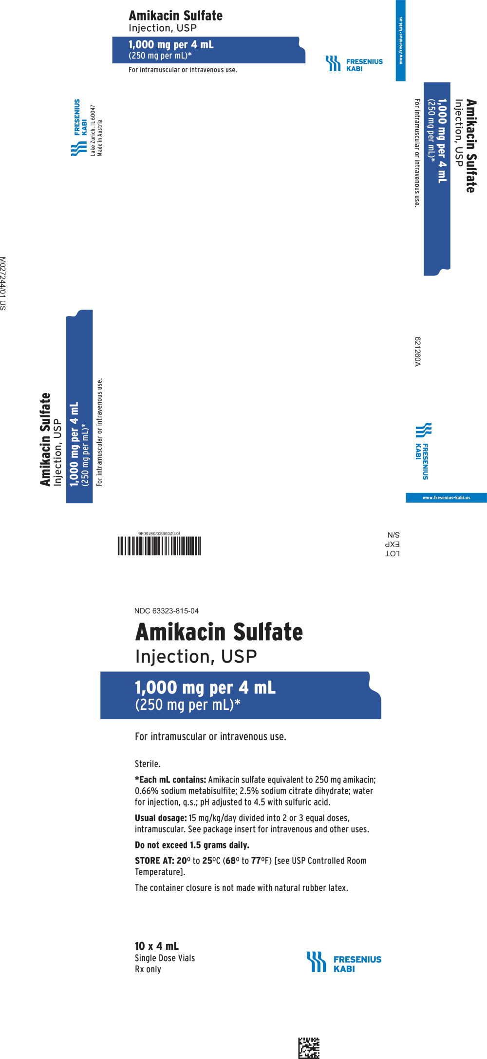 PACKAGE LABEL - PRINCIPAL DISPLAY – Amikacin 1000 mg Single Dose Carton Panel
