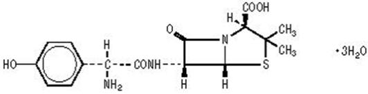 Structural formula for Amoxicillin