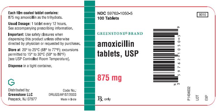 PACKAGE LABEL-PRINCIPAL DISPLAY PANEL - 875 mg (100 Tablet Bottle)