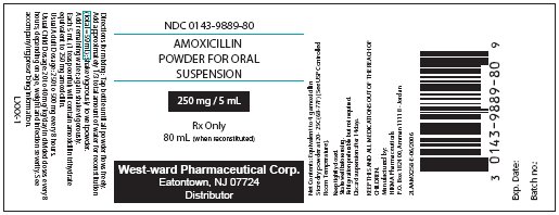 Amoxicillin Powder for Oral Suspension
250 mg/5 mL, 80 mL
