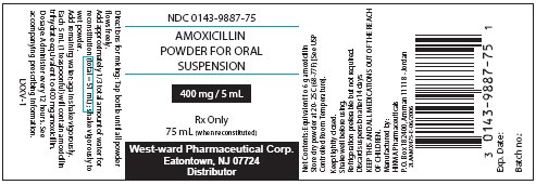 Amoxicillin Powder for Oral Suspension
400 mg/5 mL, 75 mL