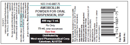 Amoxicillin Powder 400 mg/5 mL