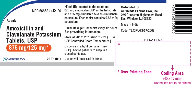 PACKAGE LABEL-PRINCIPAL DISPLAY PANEL - 875 mg/125 mg (20 Tablet Bottle)